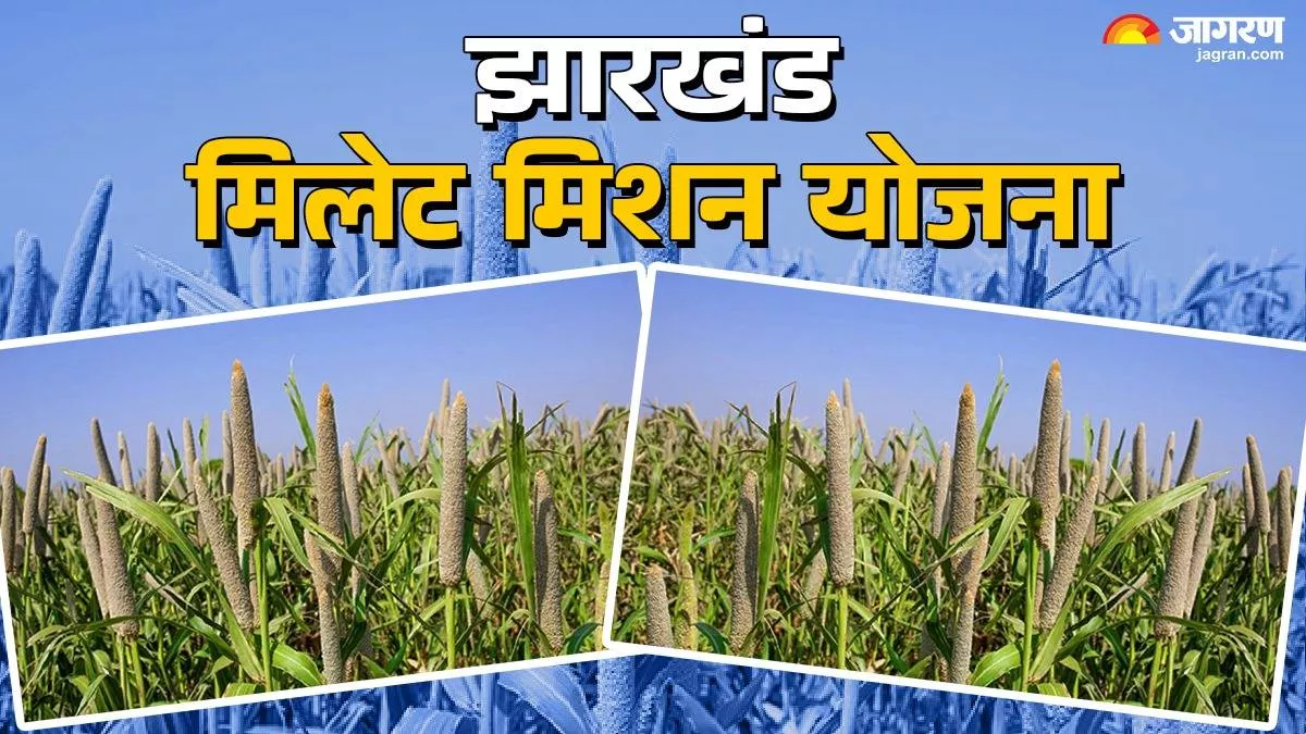 Millet Mission Yojana Apply